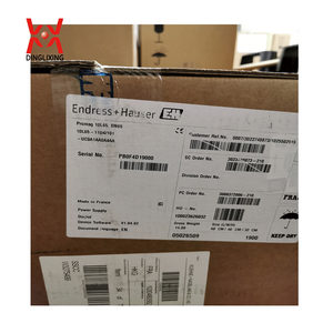 Endress Hauser Liquiphant FTL33 Interruptor de Nivel Tipo Horquilla Vibratoria E+H Sensor de Nivel de Punto Vibronic Precisión del 0.05% 1 Año de Garantía - Product Image 6