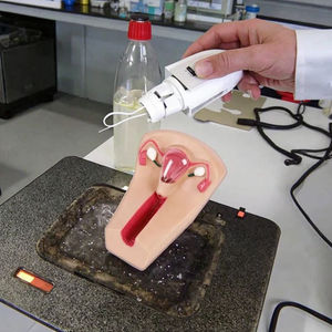 Modèle avancé de <span class=keywords><strong>formation</strong></span> en sciences médicales pour femme pour la <span class=keywords><strong>formation</strong></span> d'urgence en PVC contraceptif intra-utérin pour les étudiants médecins - Product Image 3