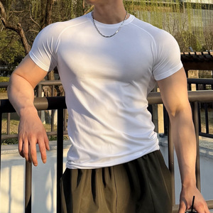 T-shirt de compression pour homme en nylon, sans couture, séchage rapide, pour la gym, la course à pied, extensible - Product Image 2