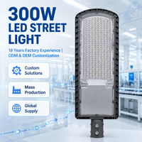 Luminaire LED routier de qualité professionnelle pour entrepreneurs municipaux, 300W, pour autoroute et terminal logistique