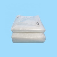 Film plastique agricole résistant aux UV Film PE de couverture en plastique polythène pour serre