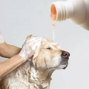 バイオラインクリーンペットドッグシャワージェルシャンプーコンディショナードッグボディウォッシュペットシャンプーシャワージェル発泡 - Product Image 4