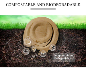 Bambù come piatti usa e getta Eco Friendly cena piatti in legno piatti alternativi biodegradabili - Product Image 6
