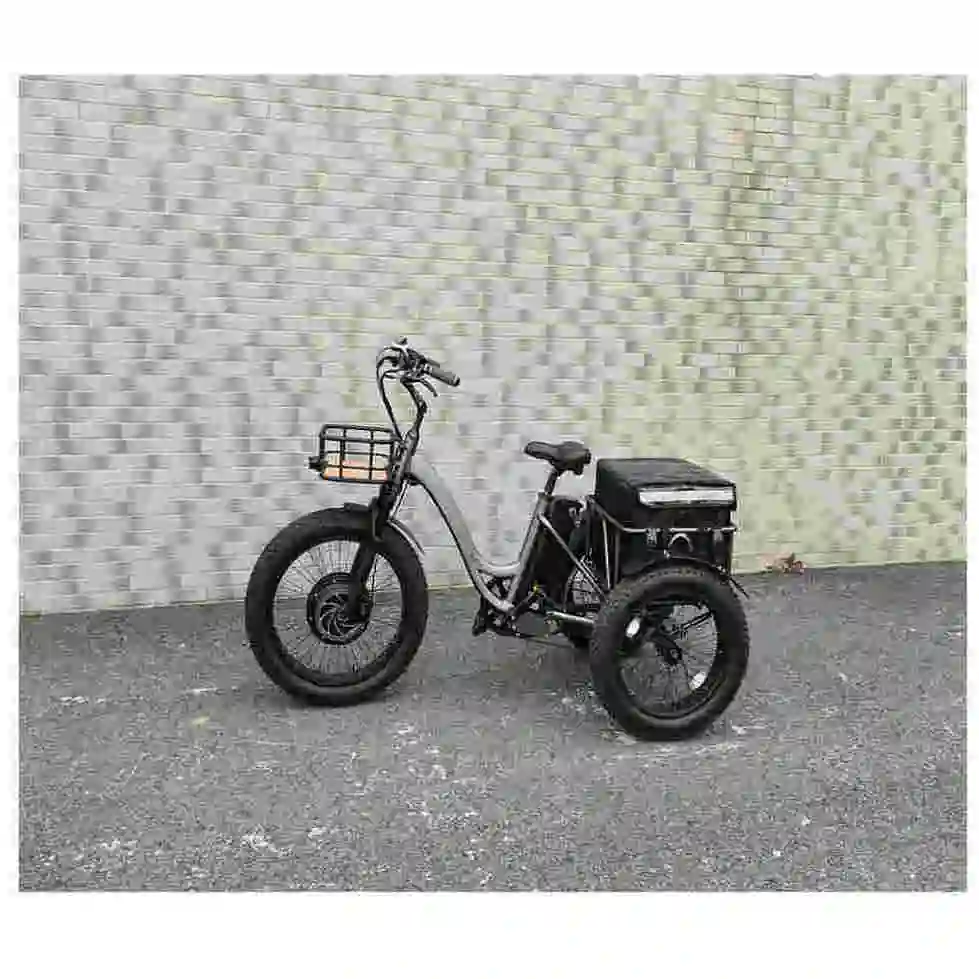 Fabrika kaynağı elektrik motoru üç tekerlekli bisiklet 1000w motorlu üç tekerlekli bisiklet 3 tekerlekli elektrikli scooter yetişkin üç tekerlekli bisiklet için günlük çalışma