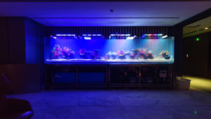 カスタマイズ可能 220V 透明 大型 アクリル 水槽 ホテル 民宿 ヴィラ用 観賞魚 タンク - Product Image 5