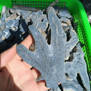 Venta al por mayor de alta calidad de forma libre artesanía <span class=keywords><strong>azul</strong></span> coral <span class=keywords><strong>Jade</strong></span> y cristal de cuarzo para curación decorativa otras artesanías de cristal - Product Image 6