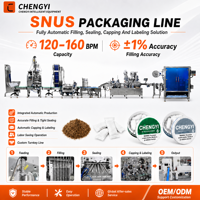 Machine d'emballage automatique complète CE pour sachets de nicotine et poudre de snus, ligne de production A-Z, remplissage, scellage, cartonnage, sachet non tissé