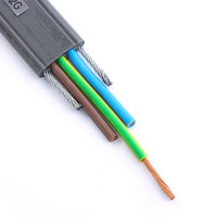 Noyau de cuivre sans oxygène solide d'approvisionnement direct d'usine TVVB 3*2.5mm ² ascenseur IP65 ignifuge plat isolé de PVC.