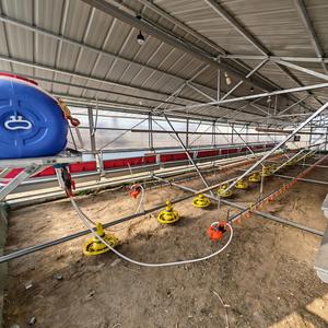 โรงเรือนเลี้ยงไก่โครงสร้างเหล็กแข็งแรงทนทาน ขนาด 15x5 เมตร สูง 2.8 เมตร สำหรับไก่เนื้อและไก่ไข่ อุปกรณ์ฟาร์มไก่เคลื่อนที่ได้ - Product Image 5