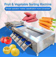 Automatische citroenen sorteermachine, sinaasappel-, tomaat-, avocado-, bosbes- en kersentomaat sorteermachine, droogmachine, citroenen grader