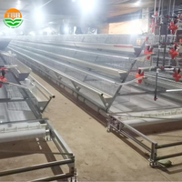 Offre Spéciale 96 / 160 oiseaux 3/4 couches système de cages d'alimentation de poulet de volaille