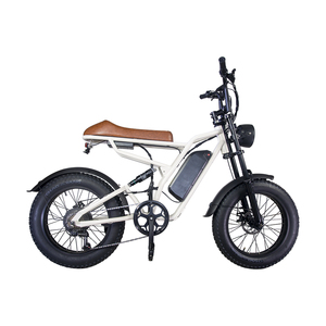 <span class=keywords><strong>Bici</strong></span> <span class=keywords><strong>Elettrica</strong></span> da Montagna Fuoristrada per Adulti CS-M1 con Pneumatici Fat da 20 Pollici per Passaggio Senza Ostacoli, Disponibile nel Magazzino USA - Product Image 3