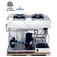Unités de congélation monobloc montées sur le côté 3HP/4HP équipement de réfrigération pour les solutions de chambre froide industrielle