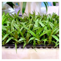 Plateaux de semis à 28, 50, 72, 128 alvéoles pour la germination de plantes et de légumes