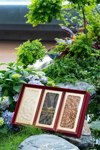 Alimento Tónico de Alta Gama, Ginseng Morel, Ginseng Rojo, Ginseng Americano, Regalos para el Año Nuevo y el Festival de Medio Otoño para Ancianos y Amigos - Product Image 3