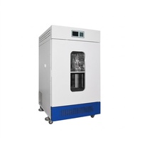 Incubateur à Agitation à Température Constante Grande Capacité, Chauffage Électrique, Écran LCD, pour Laboratoire