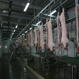 เครื่องฆ่าเนื้อหมูอุปกรณ์สำหรับโรงฆ่าสัตว์ดีไซน์ทันสมัย - Product Image 2
