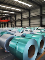 Bobine d'acier PPGI PPGL certifiée BIS TISI, 0,15-1,0 mm, bobine de tôle de toiture galvanisée prélaquée pour projet d'entrepôt industriel