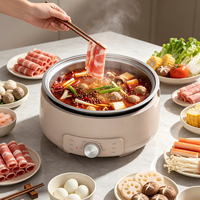 Casserole électrique en acier inoxydable pour la maison, 4 L, avec pot amovible