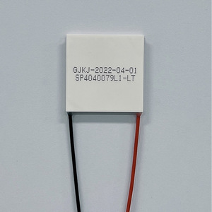 Refroidisseur thermoélectrique d'origine SP4040079L1-LT, refroidisseur semi-conducteur en aluminium pour pièces de distributeur d'eau - Product Image 2