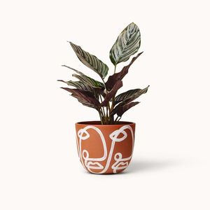 <span class=keywords><strong>Pot</strong></span> <span class=keywords><strong>de</strong></span> fleurs en céramique avec plateau, <span class=keywords><strong>support</strong></span> <span class=keywords><strong>de</strong></span> téléphone portable, <span class=keywords><strong>pot</strong></span> <span class=keywords><strong>de</strong></span> fleurs en <span class=keywords><strong>terre</strong></span> <span class=keywords><strong>cuite</strong></span> empilable pour bureau - Product Image 6