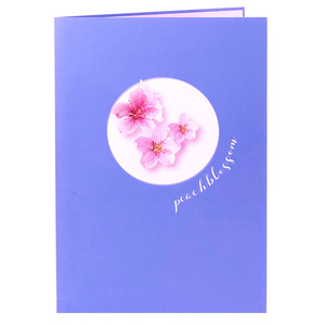 Сделанная на заказ 3d pop up get well soon подарочная корзина для карт для женщин - Product Image 5