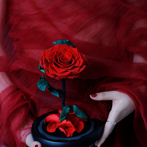 Rosas Eternas al por Mayor para Navidad y San Valentín con Tallo, Flor Preservada, Rosas Naturales Reales Conservadas en Cúpula de Cristal - Product Image 3