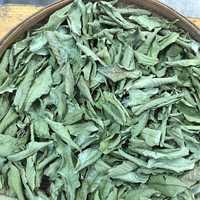 Thé aux feuilles de goyave séchées fraîches chinoises en vrac Fan Shi Liu Ye