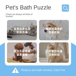 Lingettes pour animaux de compagnie mains libres, paquet de 10, motif chien et chat, désodorisantes, jetables, pour le bain et le toilettage à sec - Product Image 2