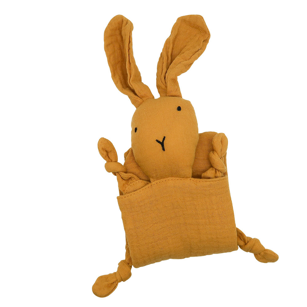 กระต่ายมะม่วง