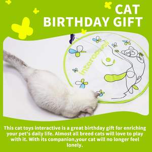 3-en-1 Automatique Flutter Bug <span class=keywords><strong>Cache</strong></span>-<span class=keywords><strong>cache</strong></span> Intérieur Pet Toy Indoor Kitties Cat Wand Toy Interactive Butterfly Teaser Box - Product Image 4