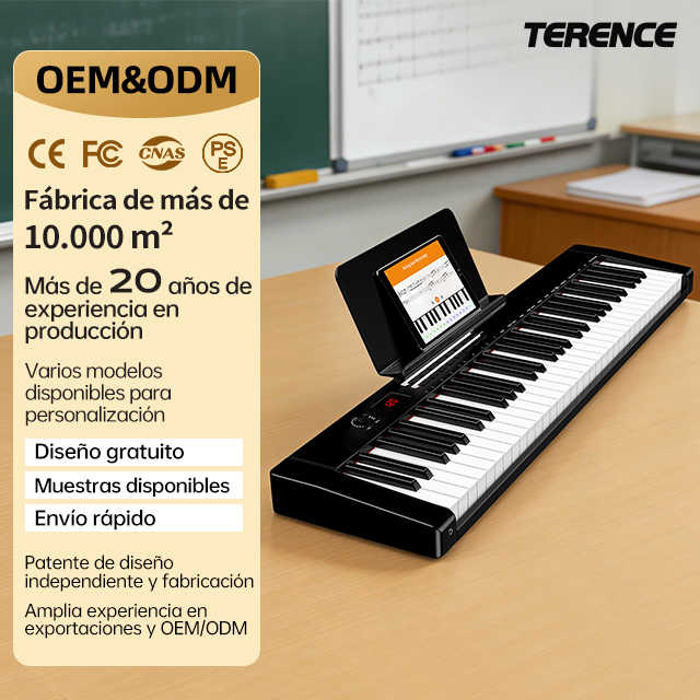 TERENCE TS-02 Portable Digital Piano Electric Keyboard, 61-Keys