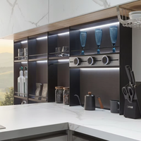 Meubles de cuisine modulaires modernes haut de gamme avec finition laquée, robinet d'évier, charnières et paniers de tiroir pour villas et appartements