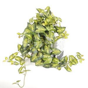 للبيع بالجملة 82 في بونساي ، سياج عصاري فاخر من الخشب الأخضر للغرفة أو الحفلات ، معلق بأسلوب حي - Product Image 2