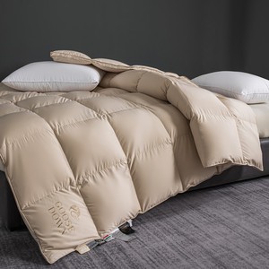 Siêu Mềm Ngỗng Xuống Comforter Thiết Lập Với Phong Cách Khâu Mô Hình Bông Công Nghệ Sản Xuất Ấm Áp Đơn Giản Phong Cách Giường Chăn - Product Image 2