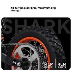 Hoogpresterende sportieve mini elektrische vetband off-road motorfiets lithium dubbele vering lichtgewicht hoge snelheid grensoverschrijdend - Product Image 5