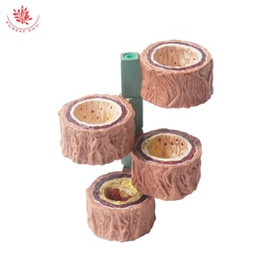 Model pembuluh darah Model arteri manusia Model FRT318 penyakit kardiovaskular 4 buah - Product Image 3