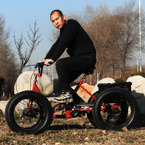 Vélo Tout-Terrain à Quatre <span class=keywords><strong>Roues</strong></span> et Pneus Larges pour des Aventures sur Quatre <span class=keywords><strong>Roues</strong></span> avec Pédales Fluides - Product Image 4