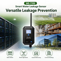 Système de surveillance des inondations en gros OEM LoRa NB-IoT, dispositif de détection d'inondation alimenté par batterie IP67 pour serres agricoles IoT