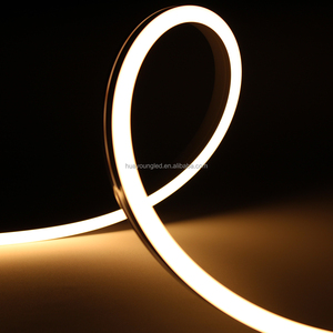 Lumière néon LED 8W IP65 avec éclairage uniforme, DC 12V, matériau silicone, pour décoration architecturale/commerciale et résidentielle - Product Image 1