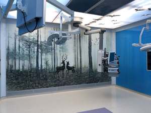 <span class=keywords><strong>Pass</strong></span> Doos en transfer venster voor schone kamer operatiekamer - Product Image 4