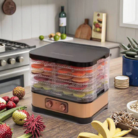 Appareils ménagers en acier inoxydable électrique séchoir à fruits déshydrateur pour viande fruits cuisine Mini déshydrateur alimentaire Machine