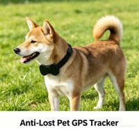 Collier GPS pour animaux de compagnie, mini localisateur GPS pour chien et chat, anti-perte, étanche IP67, double système pour Android et iOS