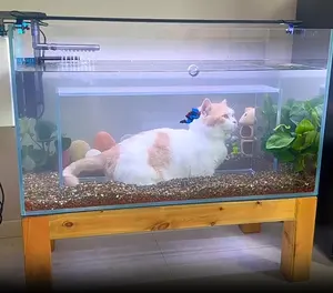 2023 Cat View Fish Glass Tank Aquarium Tank