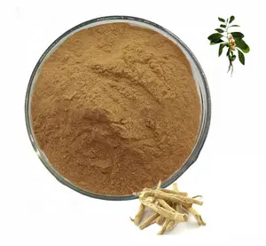 Polvo de bardana pura Natural de alta calidad vegetariano vegano India 100% de la venta al por mayor 2.5% 5% EXTRACTO DE Ashwagandha HPLC