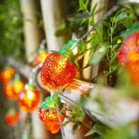 Guirlande lumineuse LED en forme de fraises Owl, blanc chaud, 1,5 m de long, fonctionne avec des piles AA, pour la décoration de mariage, de fête ou de vacances