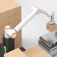 Automatizado 10 kg Industrial Cobot Box Collaborative Picking Robot Arm Precio para paletizado Robot