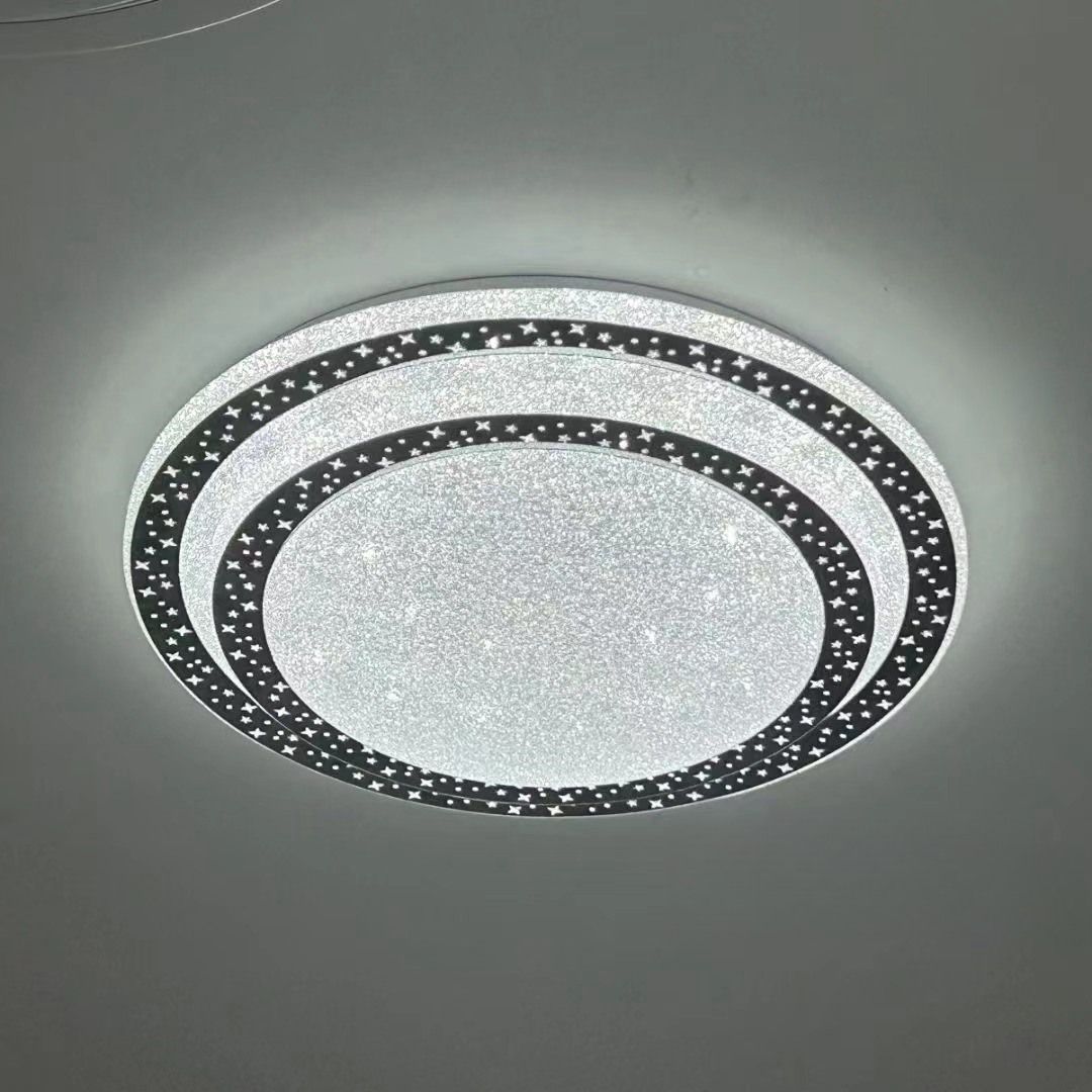 3000k/4000k/6500k Modern Hotel Bedroom Fixture LED Ceiling Lighting 12W 24W 36W Round Ceiling Lamp for Home