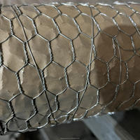 Filet hexagonal galvanisé à triple torsion pour cage à lapins, filet de clôture pour volailles en PVC enduit de plastique
