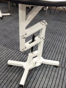 <span class=keywords><strong>Table</strong></span> de toilettage électrique pour animaux de compagnie avec bras de toilettage fixes et pivotants et tapis robuste pour le toilettage de chiens de grande taille - Product Image 3